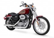 Harley-Davidson XL 883C Sportster 833 Custom